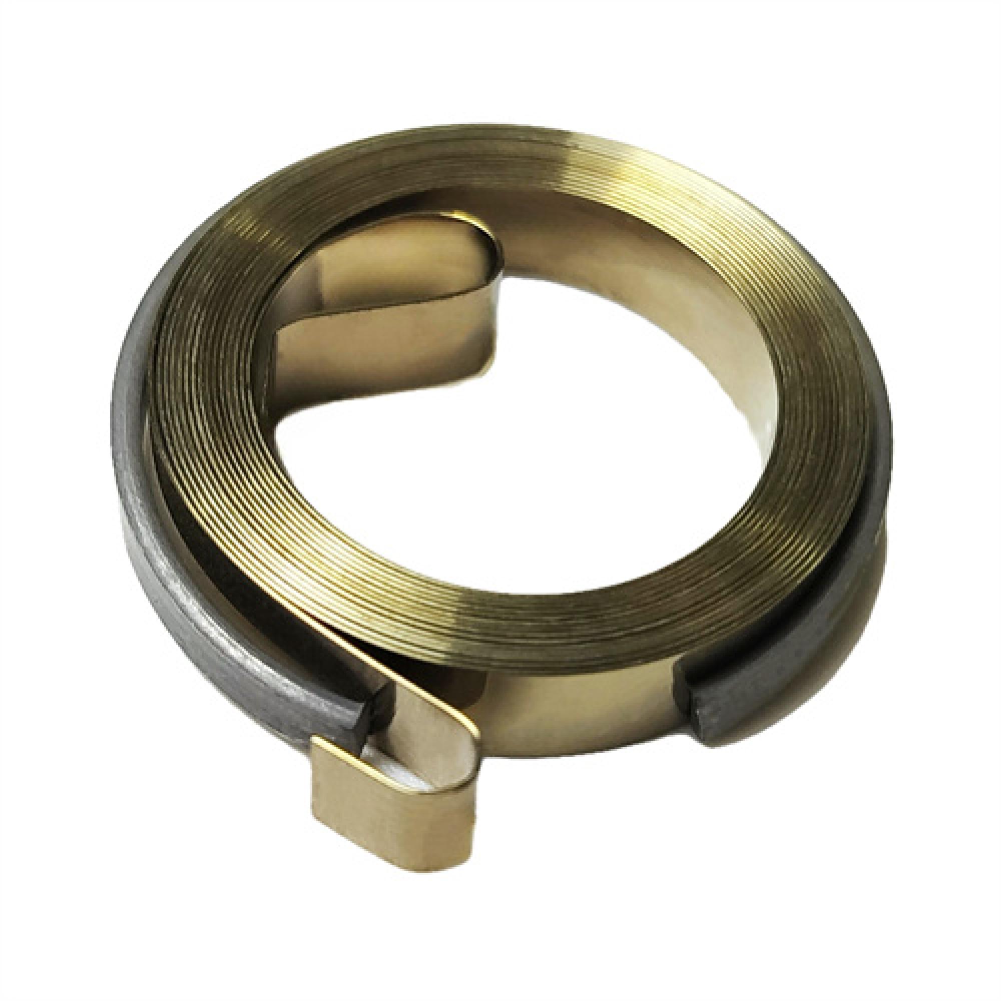 Stainless Steel Chopper Spring Manufacturer