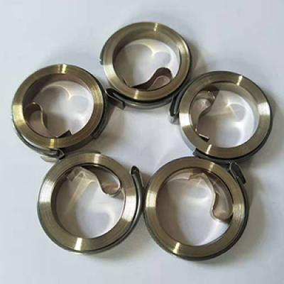 Stainless Steel power Spring for Vegetable Chopper Machine